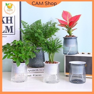 Chậu nhựa trồng cây thuỷ sinh đặt bàn, chậu tự dưỡng tự tưới trồng hoa cây cảnh để bàn, văn phòng loại 1