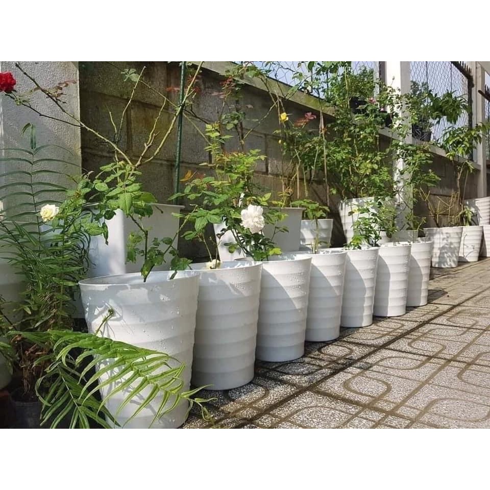Chậu nhựa trồng cây cảnh hoa hồng, cây văn phòng vòng tròn- chậu vòng tròn hàng công ty loại 1 dày đẹp