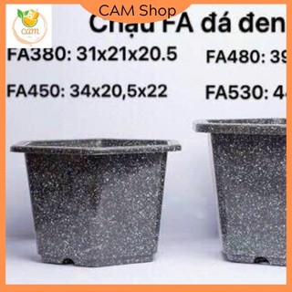 Chậu nhựa trồng hoa cây cảnh lục giác FA380 KT 28x20cm 10 chậu hàng loại 1 dày đẹp