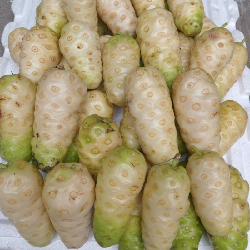 1kg trái nhào quả nhào trái nhàu quả nhàu giao hỏa tốc tại Sài Gòn 1 tiếng nhận hàng