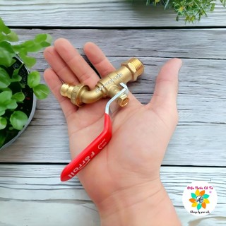 Vòi hồ Vòi rumine tay gạt phi 21 Ferroli