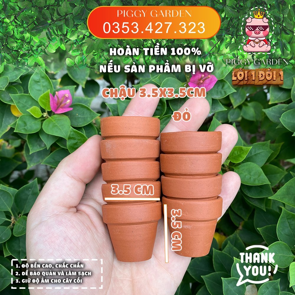 Chậu đất nung - Chậu trồng sen đá, xương rồng - Chậu đất nung mini 3cm - 11cm