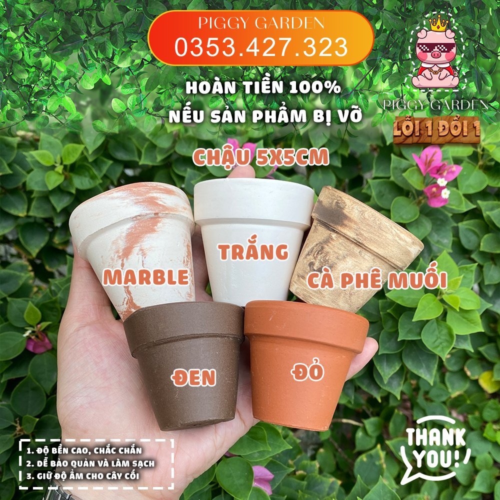 Chậu đất nung - Chậu trồng sen đá, xương rồng - Chậu đất nung mini 3cm - 11cm