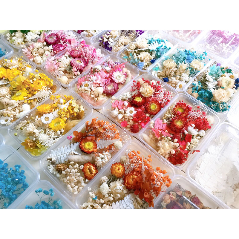 ❤️FREESHIP❤️Hộp Hoa Khô 10 Loại Hỗn Hợp - Nguyên Liệu Làm Nến Thơm, Handmade