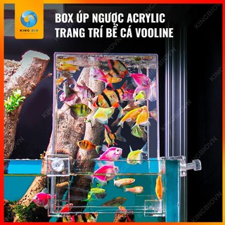 Box up ngược – bể cá bay trang trí bể cá Acrylic Voonline