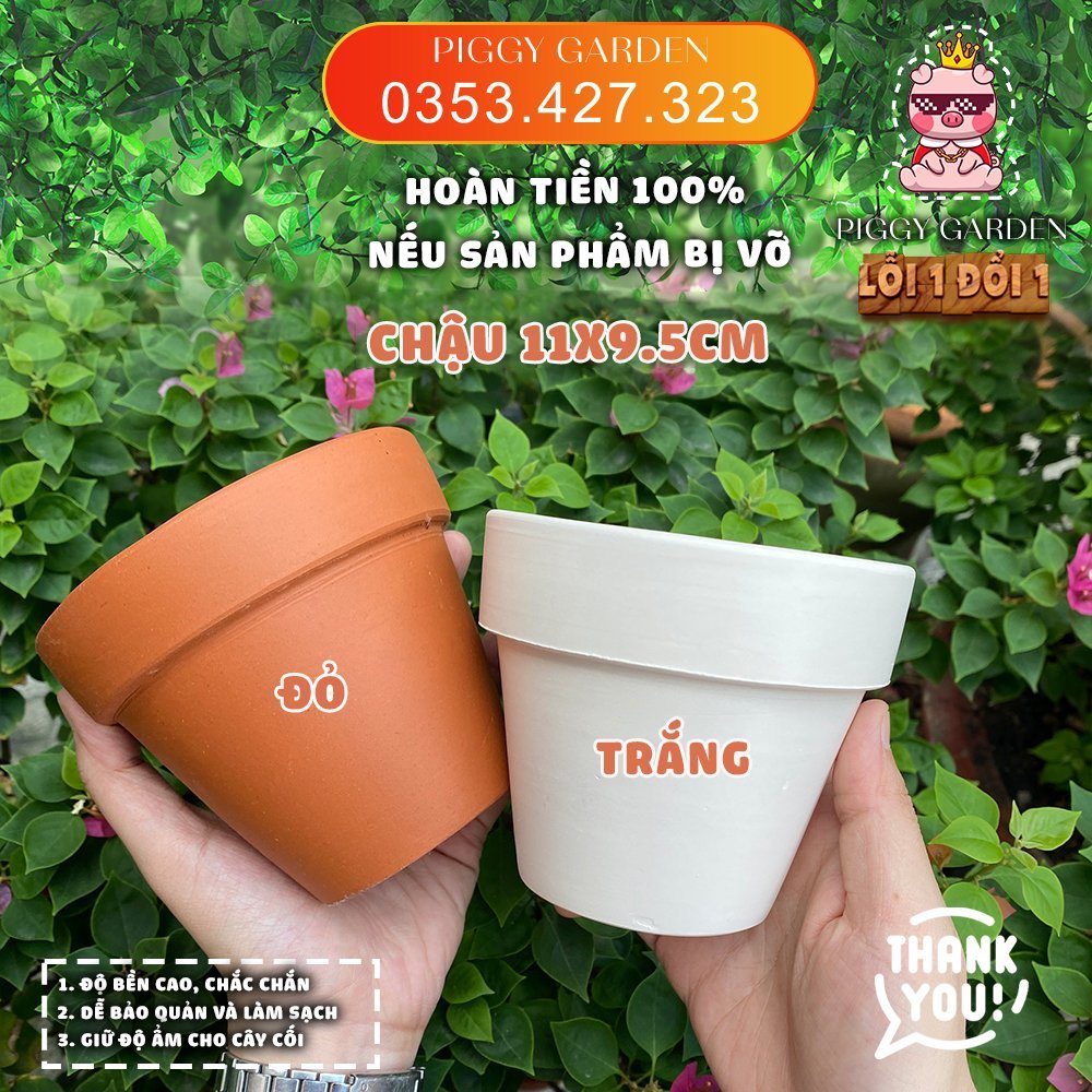 Chậu đất nung - Chậu trồng sen đá, xương rồng - Chậu đất nung mini 3cm - 11cm