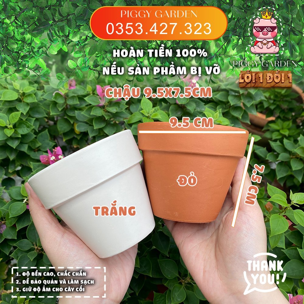 Chậu đất nung - Chậu trồng sen đá, xương rồng - Chậu đất nung mini 3cm - 11cm