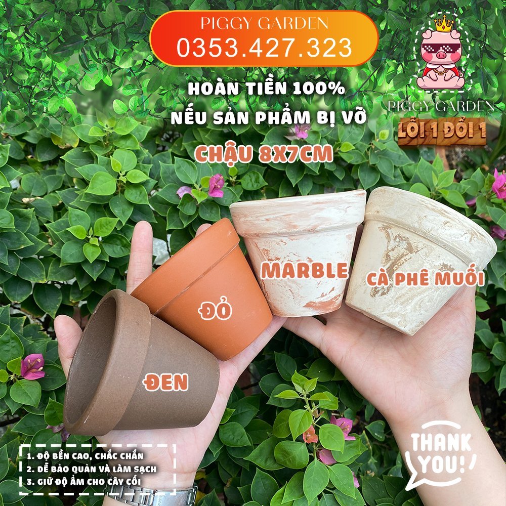 Chậu đất nung - Chậu trồng sen đá, xương rồng - Chậu đất nung mini 3cm - 11cm