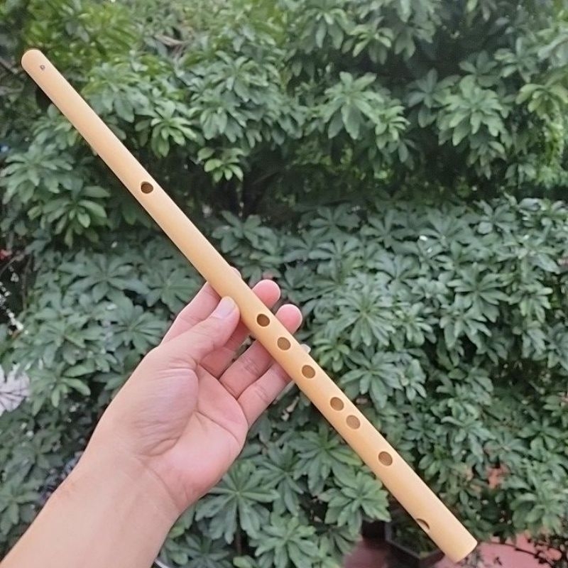 sáo trúc rê cao (D5) hàng thanh lý tồn kho