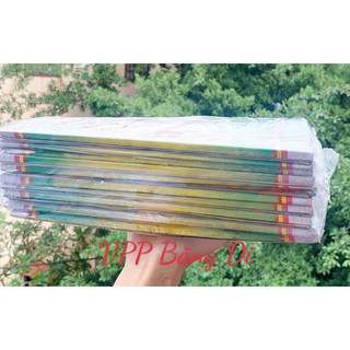 10 miếng keo dính chuột Đại Lộc