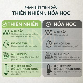 Tinh dầu Hoa Lài| 10ml