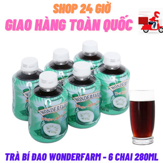 Trà bí đao chai pet 1 lốc 6 chai