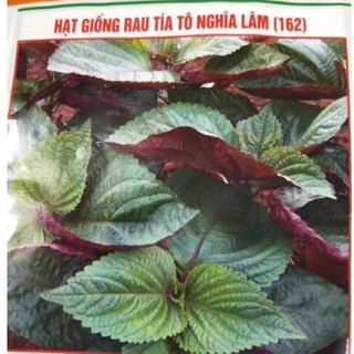 Hạt giống Tía Tô 🌱