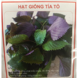 Hạt giống Tía Tô 🌱