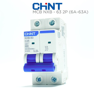 Aptomat mcb 2 pha hãng chint nxb-63 6a, 10a, 16a, 25a, 32a, 40a, 50a, 63a dòng cắt 6ka