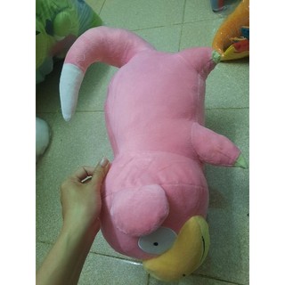 pkm 60cm luôn đuôi