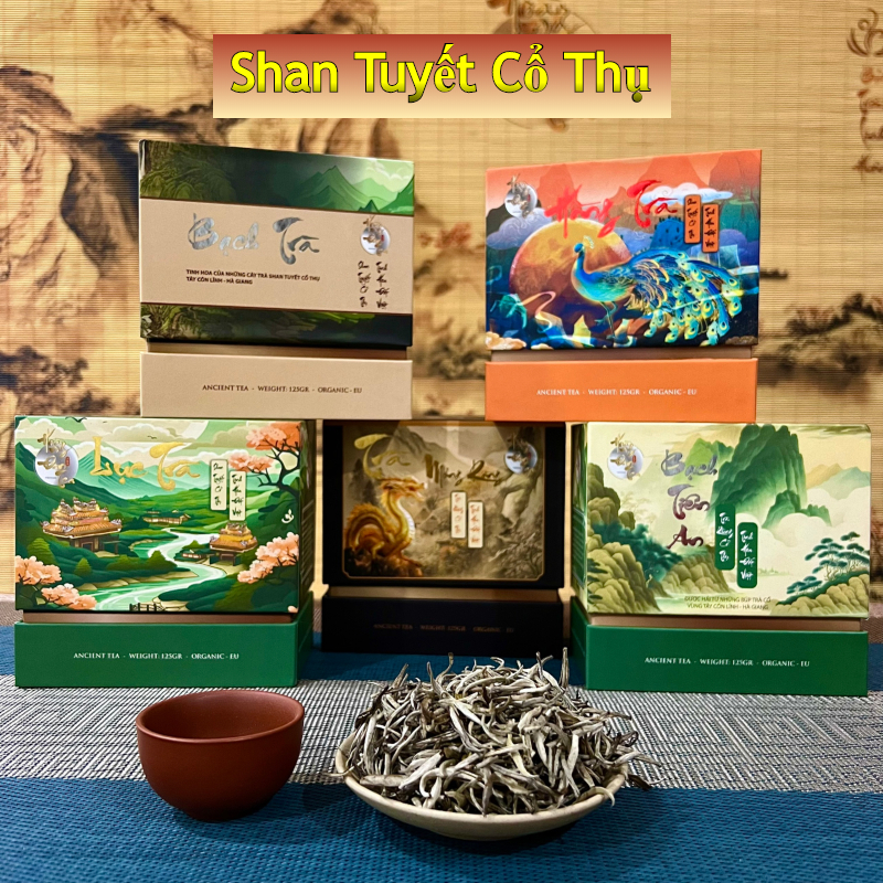 Cao Cấp 300 Tuổi Chè San Hà Giang Trà Đạo Quà Biếu Tặng