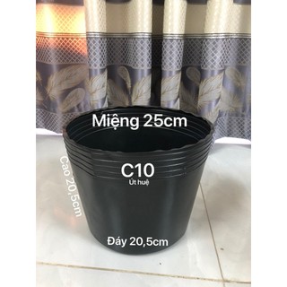 Chậu nhựa trồng cây c10 màu đen dày dặn 24x20