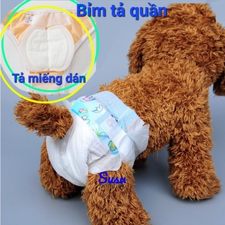 1 miếng- Bỉm tả quần, tả dán quần cho Chó Mèo