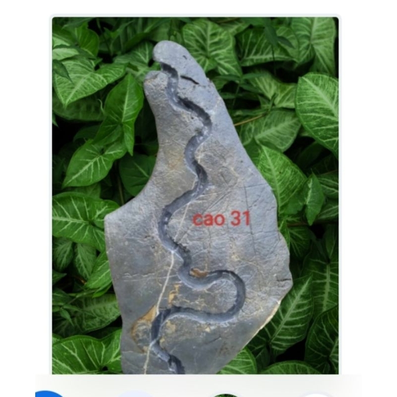 Đá ghép cây bonsai, đá làm tiểu cảnh, đá tai mèo