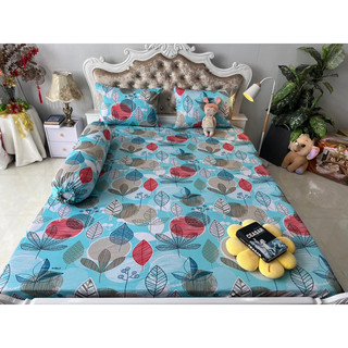 Ga thun hàn quốc ( 5 màu )