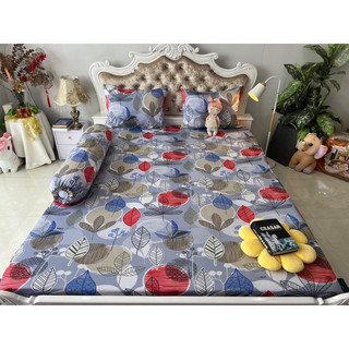 Ga thun hàn quốc ( 5 màu )