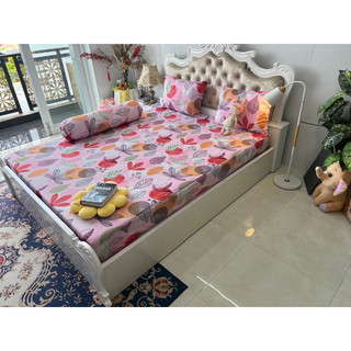 Ga thun hàn quốc ( 5 màu )