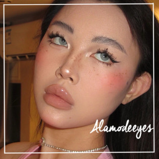 Lens xám kiss ( full cận)