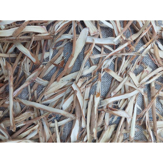1kg Sâm Cau (Khô, Thơm, Sạch)