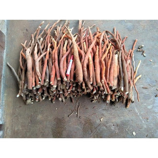 1kg Sâm Cau (Khô, Thơm, Sạch)