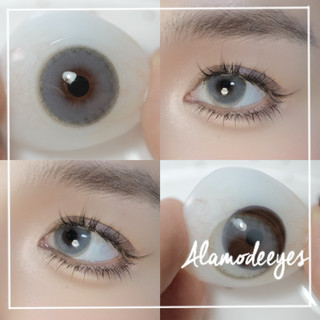 Lens xám kiss ( full cận)