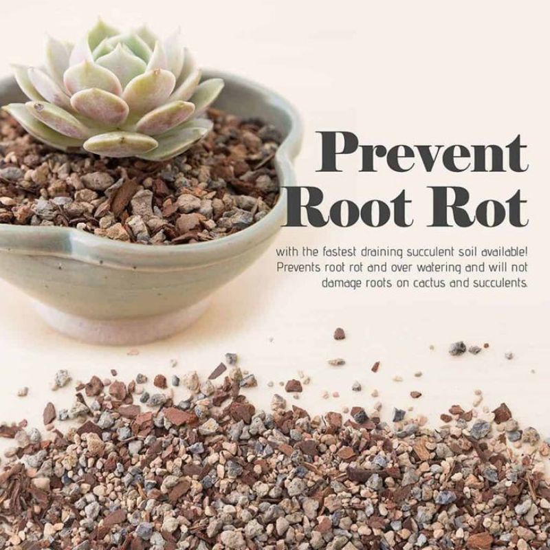 Đất trồng sen đá Soilmix túi 7.5kg