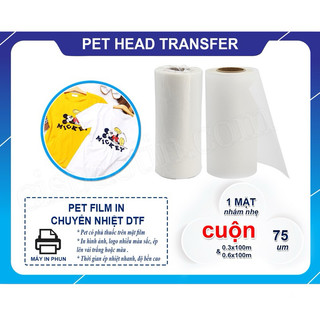 PET FILM CHUYỂN NHIỆT DTF DÙNG CHO MÁY IN PHUN MỰC PIGMENT DTF CUỘN 100M