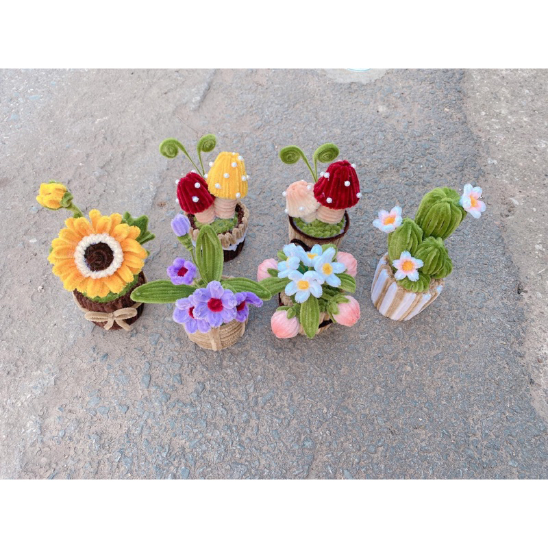 Chậu hoa mini để bàn