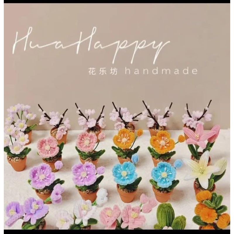 Chậu hoa mini để bàn