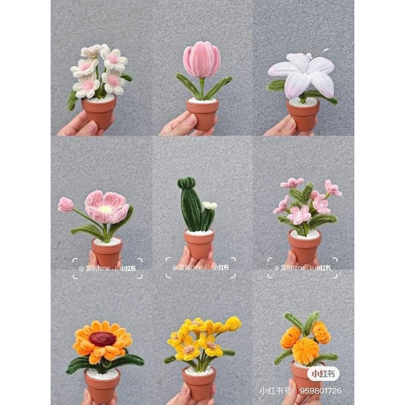 Chậu hoa mini để bàn