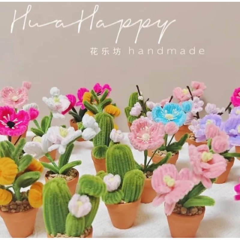 Chậu hoa mini để bàn