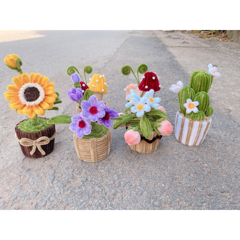 Chậu hoa mini để bàn