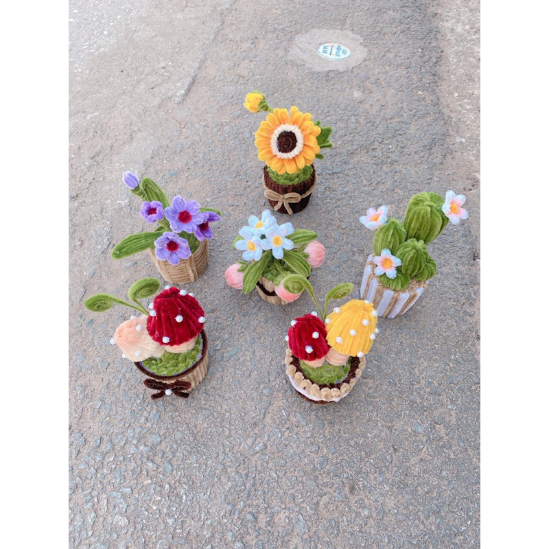 Chậu hoa mini để bàn