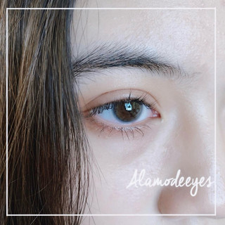 Lens xám xanh trong (full cận)