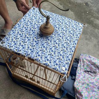 Nóc che nắng chào mào nóc che lồng chim chào mào vải hoa