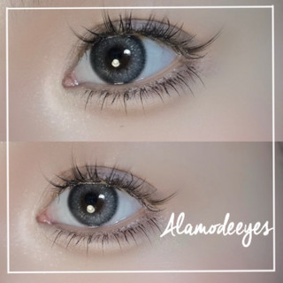 Lens xám viền tia bạc ( CÓ CẬN)