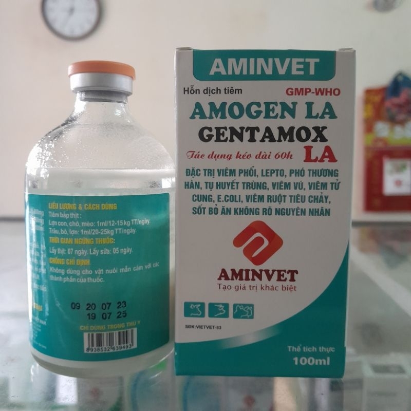 Gentamox LA 100ml heo bỏ ăn...