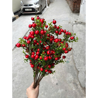 hoa giả,lựu nhỏ