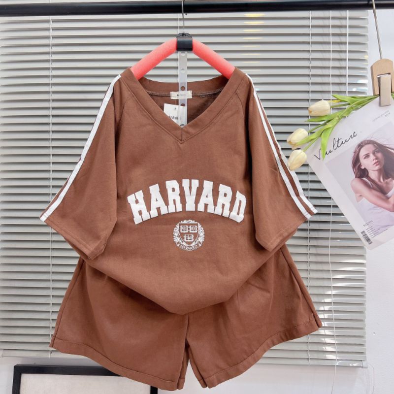 Sét bộ đồ nữ chất cotton mềm mát phối màu đẹp