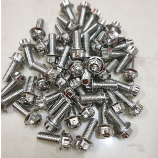 Ốc salaya 6li đủ size