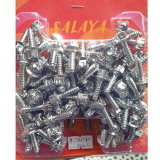 ốc salaya 6li đủ size