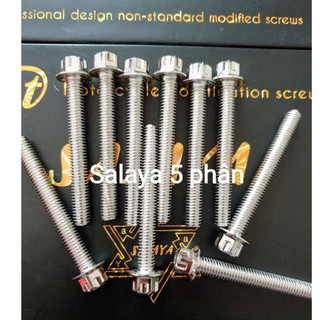 ốc salaya 6li đủ size