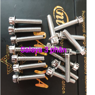 ốc salaya 6li đủ size