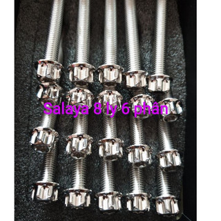 ốc salaya 6li đủ size